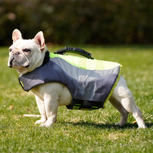 Why Your Pet Needs the Pet Life Jacket Reflective Swim Safety Floatation Vest