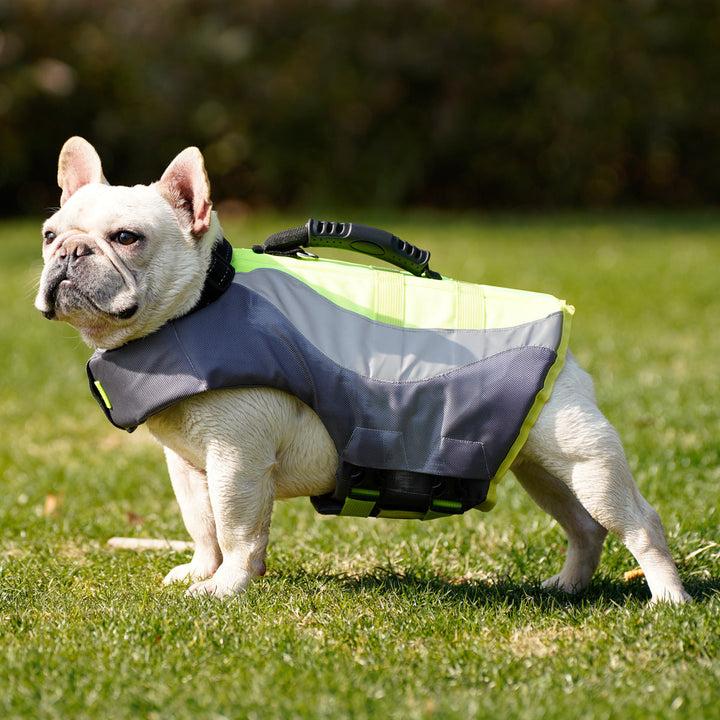 Why Your Pet Needs the Pet Life Jacket Reflective Swim Safety Floatation Vest