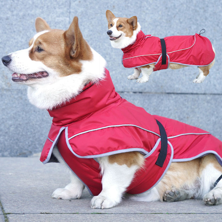The Ultimate Pet Shell Jacket for Winter Adventures