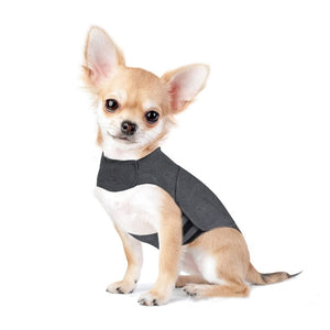 Transform Your Pet's Anxiety with Our Calming Jacket