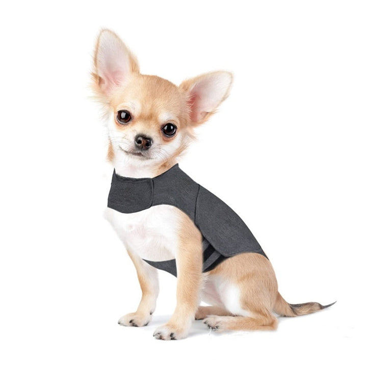 Transform Your Pet's Anxiety with Our Calming Jacket