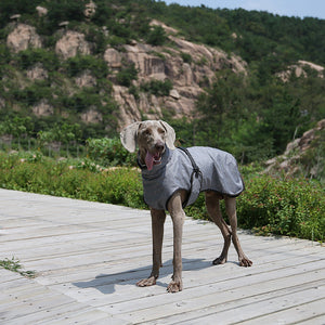 The Ultimate Winter Protection for Your Pet: Introducing the Pet Shell Jacket