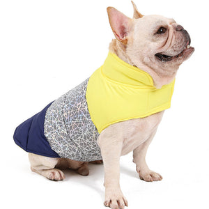 Keep Your Furry Friends Warm This Winter with Our Pet Down Jacket