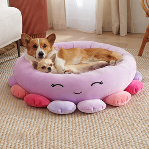 Discover the Comfort of Our Animals And Fruits Super Soft Plush Pet Bed