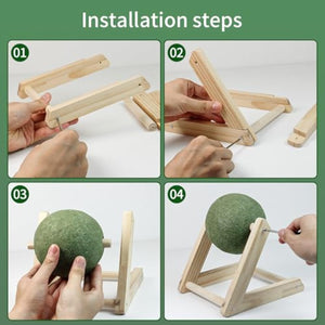 Why Your Cat Deserves the Best: The Pet Catnip Ball Toy