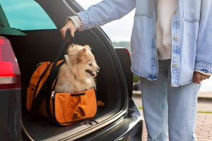 Safe Comfortable Pet Travel Carrier Solutions