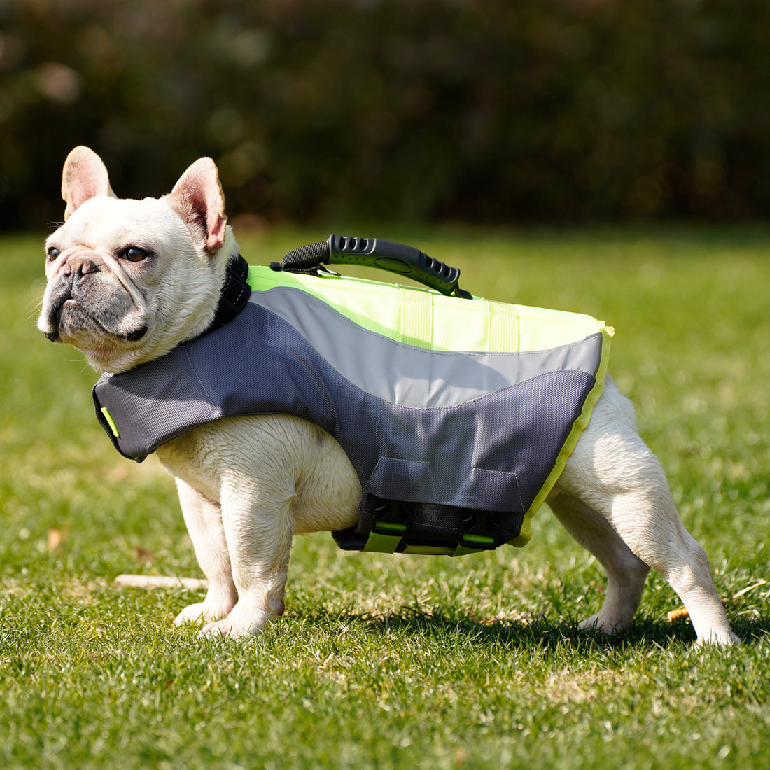 Pet Life Jacket Reflective Swim Safety Floatation Vest