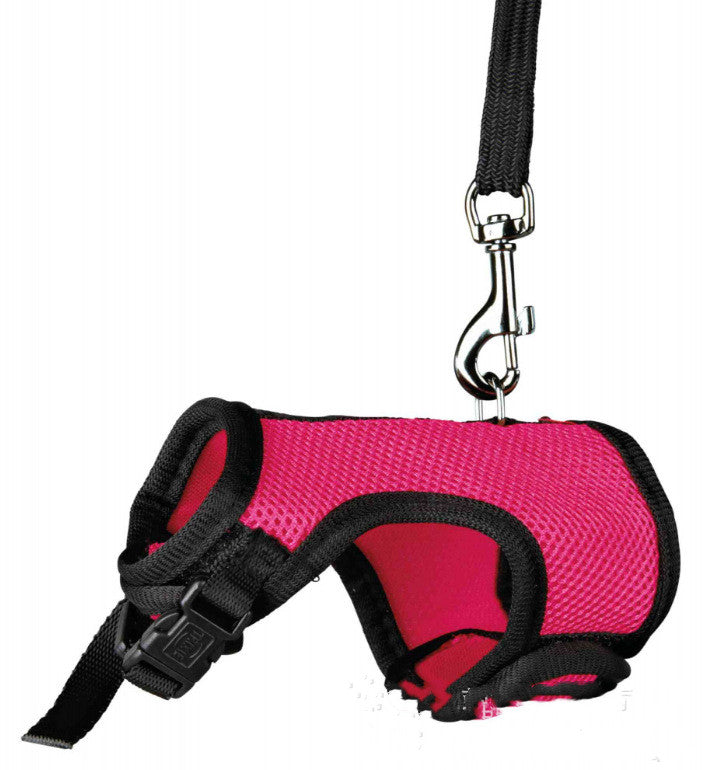 Pet Adjustable Lightweight Safety Walking Leash For Control Outdoor