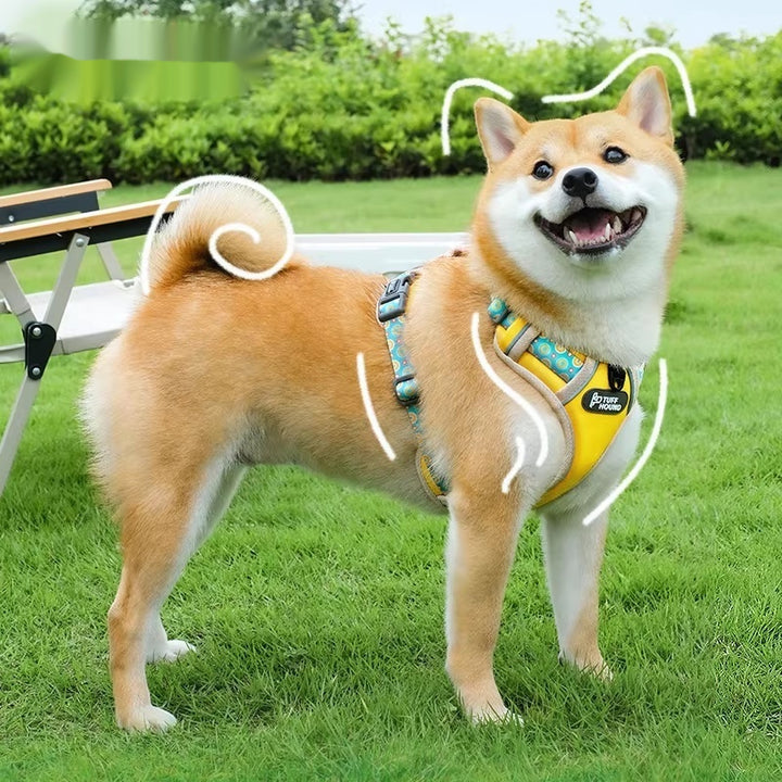 Pet Vest Style Adjustable Walking Harness And Leash
