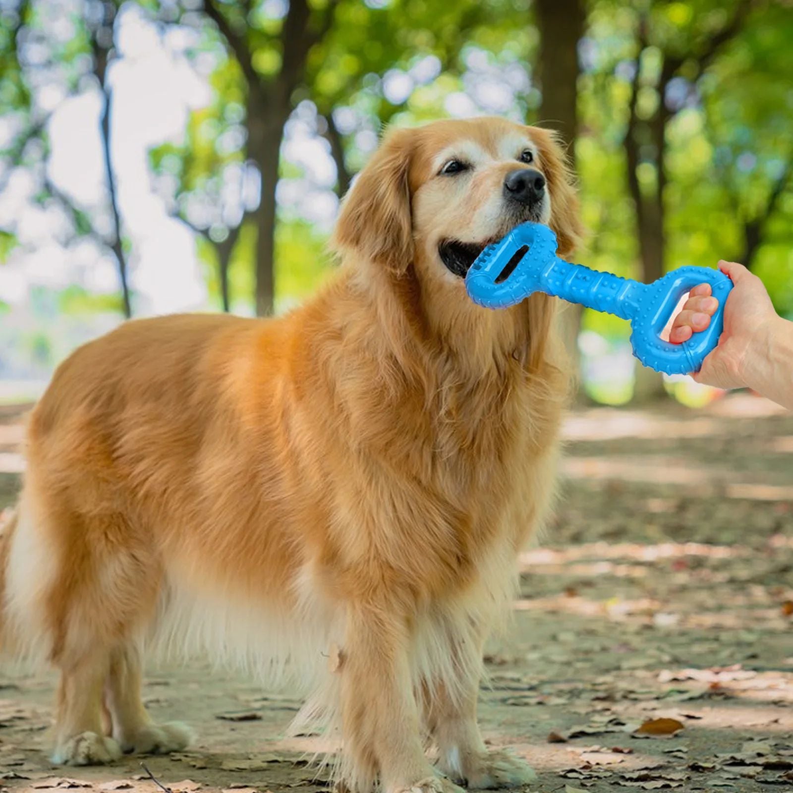 Pet Long Lasting Chew Bone Interactive Pull Band Toy