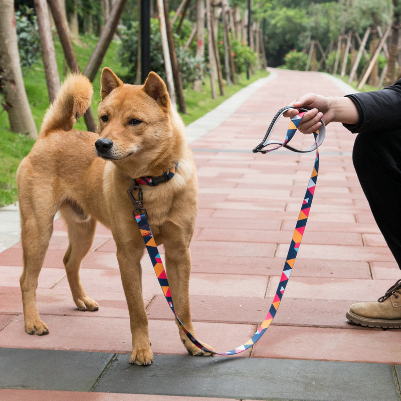 Pet Adjustable Durable Walking Leash