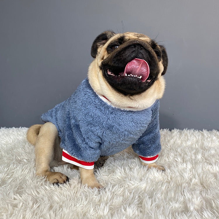 Pet Sweater Warm Comfortable Soft Knit Apparel