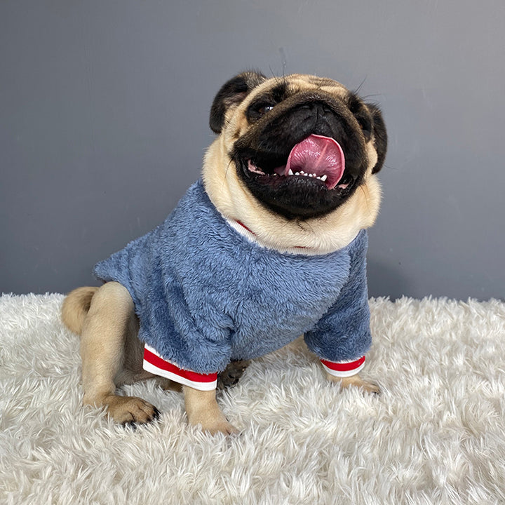 Pet Sweater Warm Comfortable Soft Knit Apparel