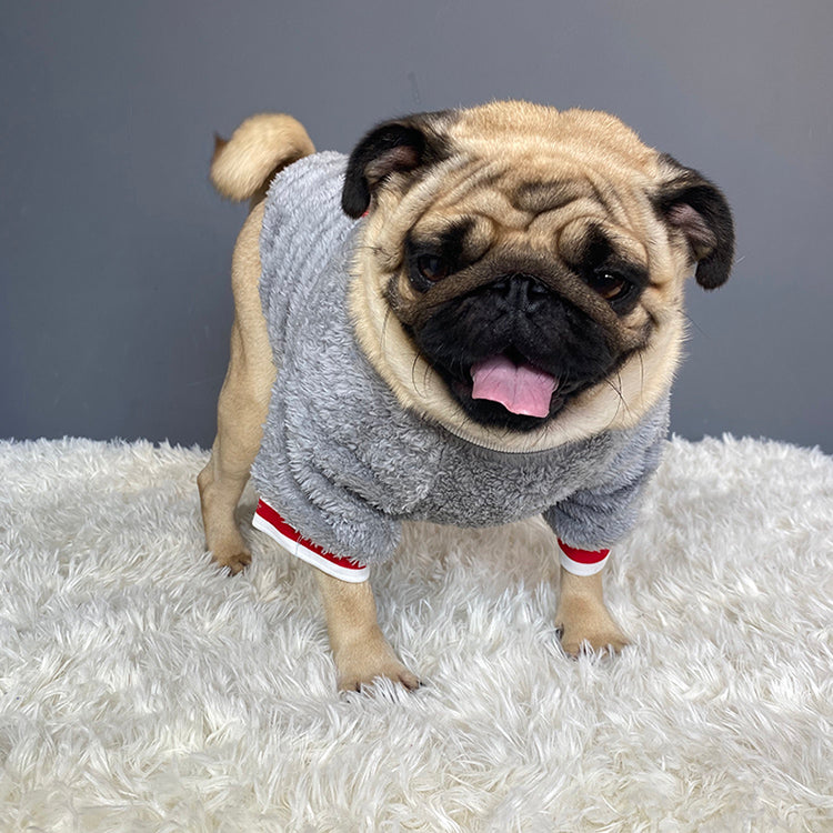 Pet Sweater Warm Comfortable Soft Knit Apparel