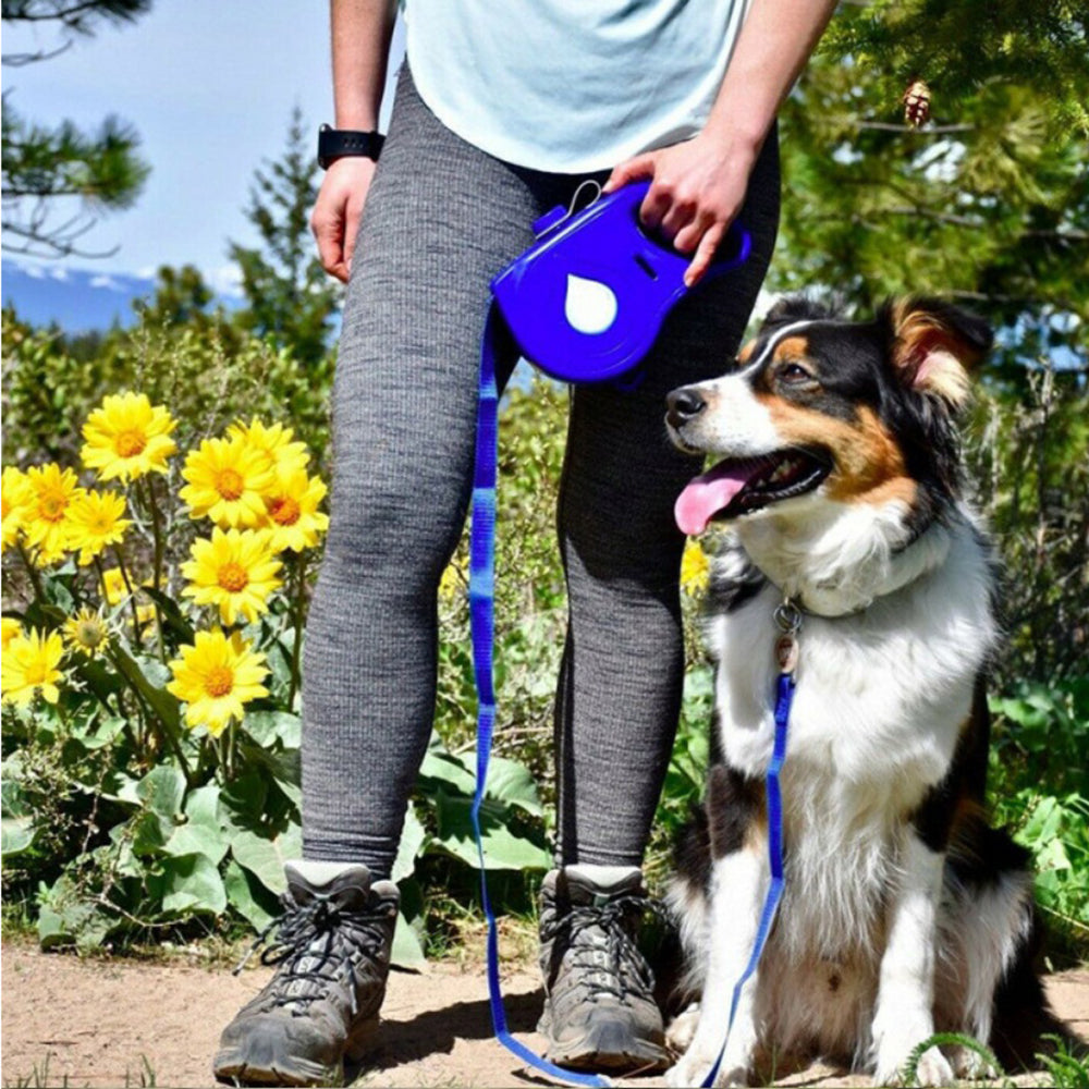 Pet Multifunctional Automatic Retractable Portable Walking Leash