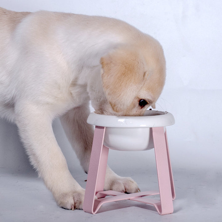 Pet Creative Anti Slip Feeding Bowl With Iron Stand