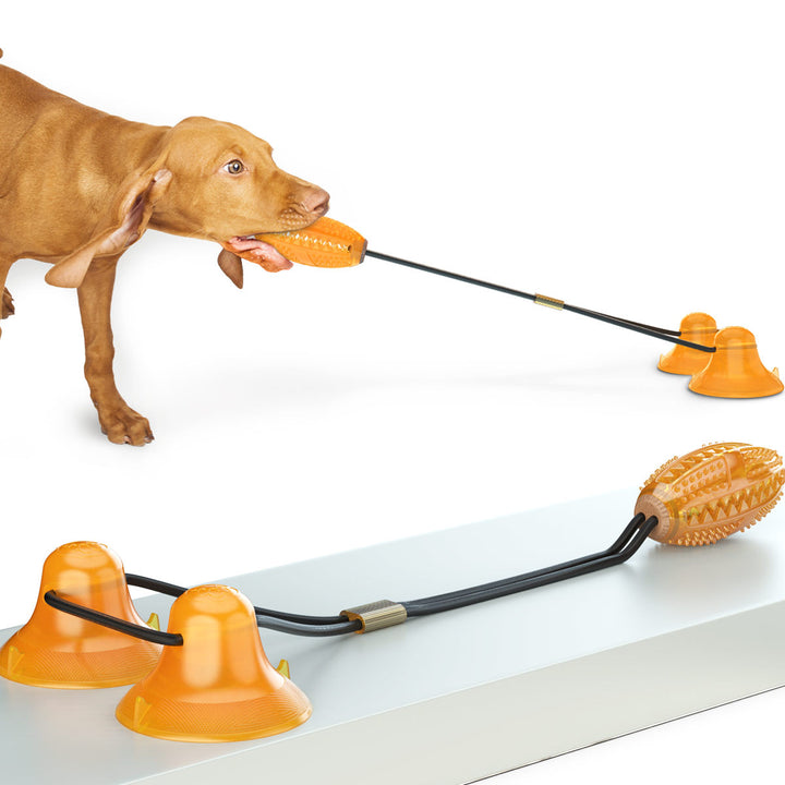 Pet Multifunction Double Rope Ball Sucker Bite Toy
