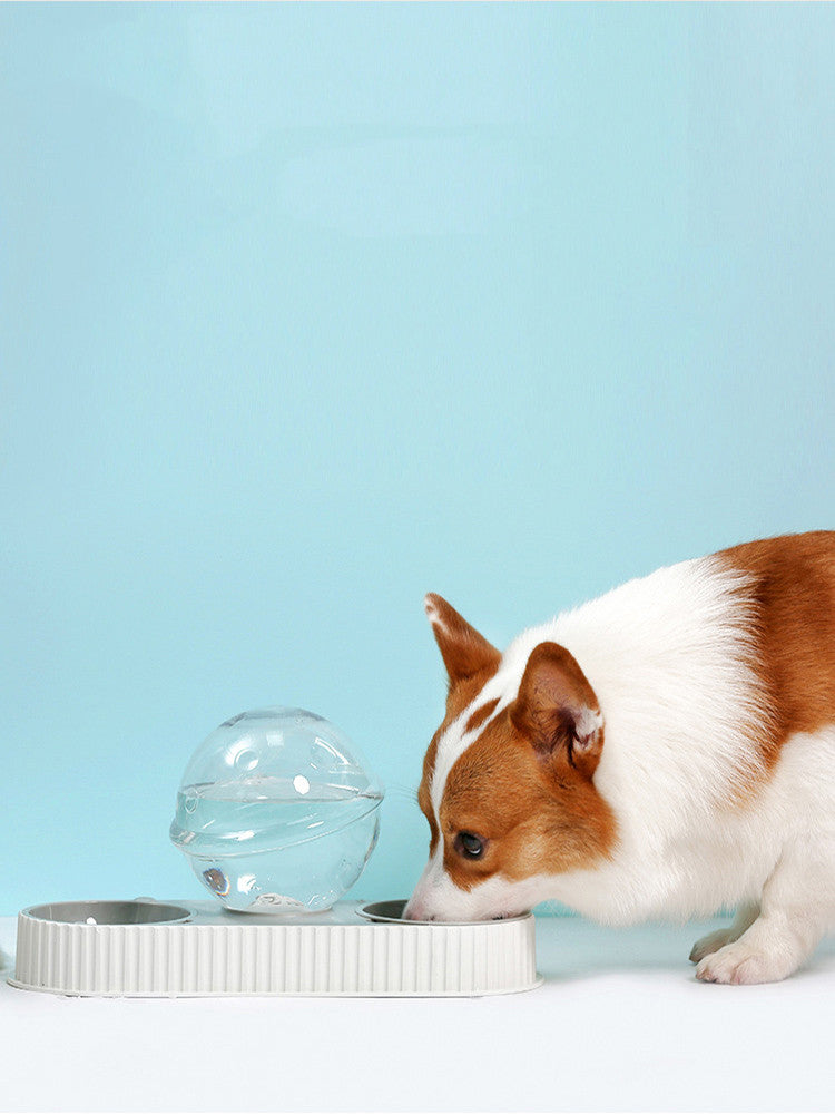 Pet Automatic Feeder Water Bowl Drinking Station
