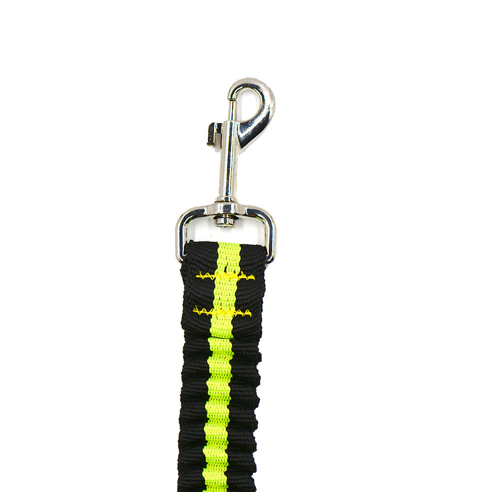Pet Adjustable Double Head Nylon Leash For Two Pets