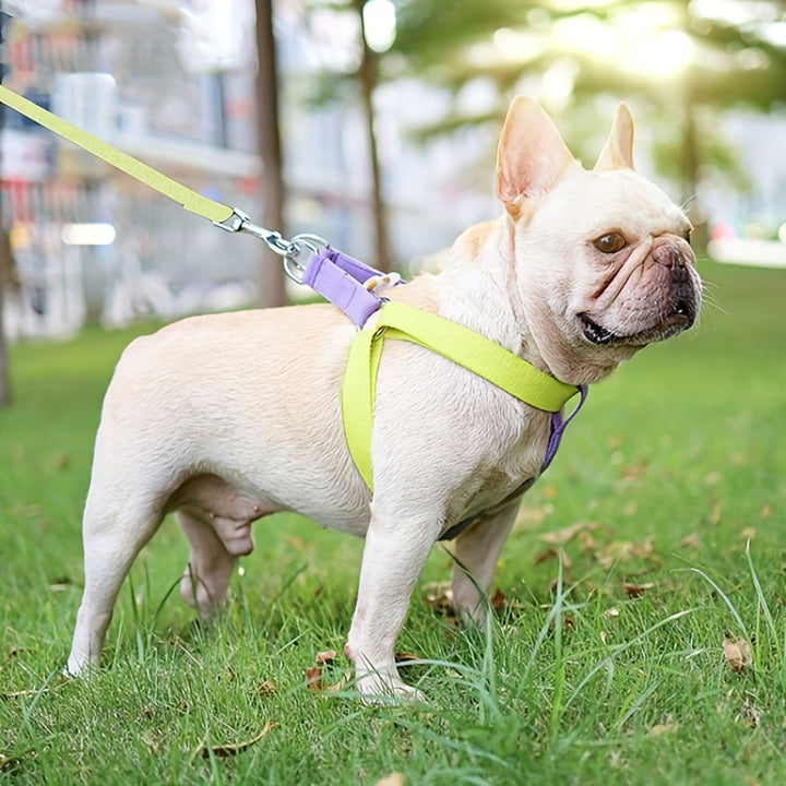 Pet Rainbow Colorblock Anti Escape Harness And Leash Set