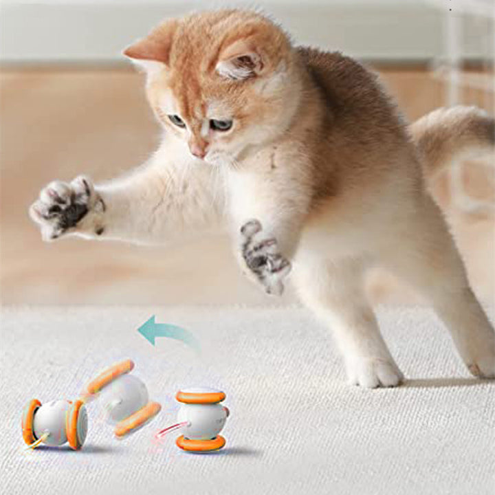 Electric Intelligent Pet Teasing Charging Toy