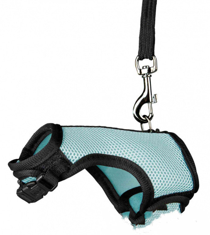 Pet Adjustable Lightweight Safety Walking Leash For Control Outdoor