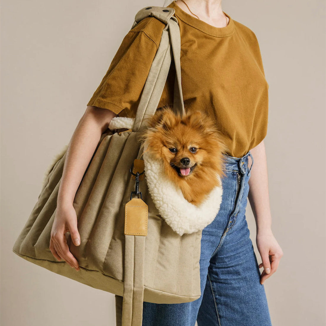 Pet Waterproof Travel Carrier Lightweight Fashion Carry Bag