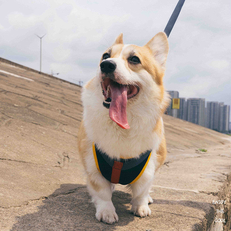 Pet Adjustable Chest Strap Walking Leash