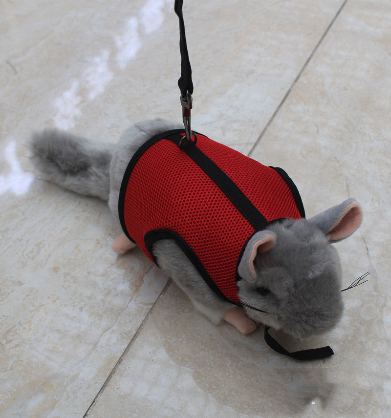 Pet Adjustable Lightweight Safety Walking Leash For Control Outdoor
