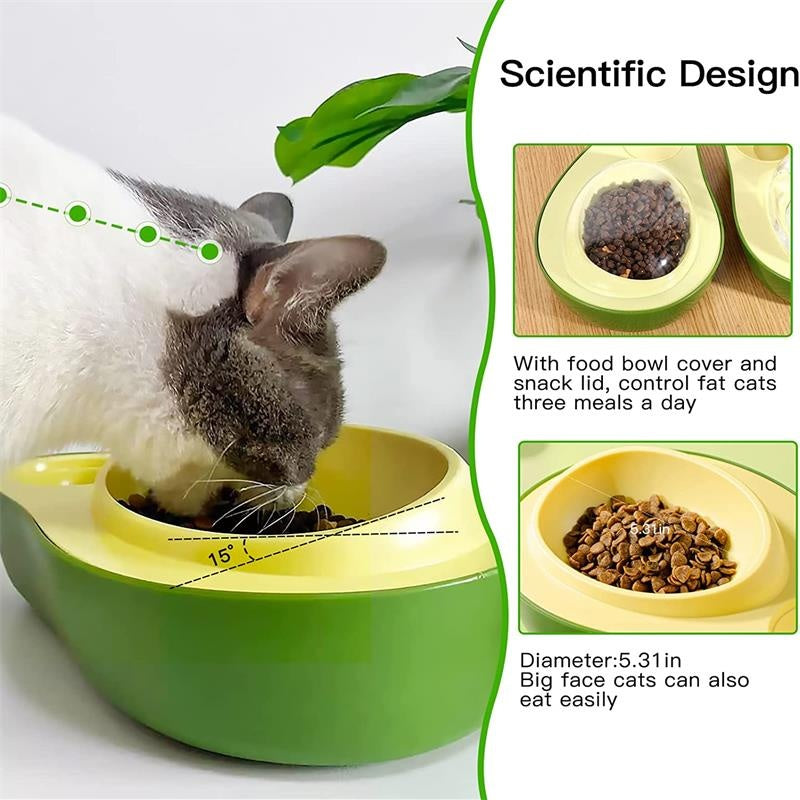 Pet Automatic Water Bottle And Slow Feeding Bowl