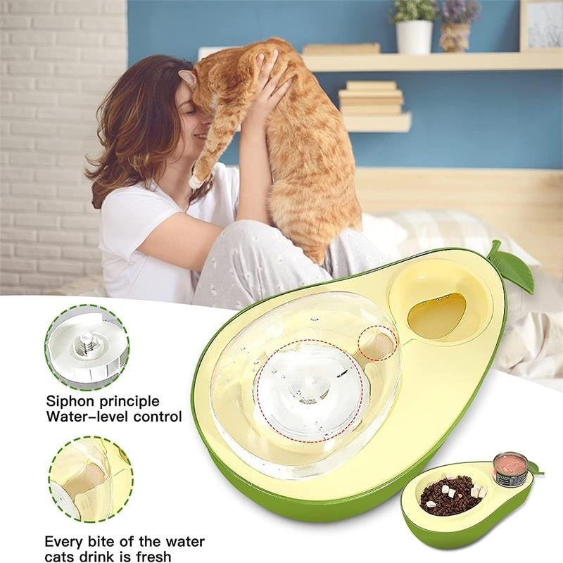 Pet Automatic Water Bottle And Slow Feeding Bowl