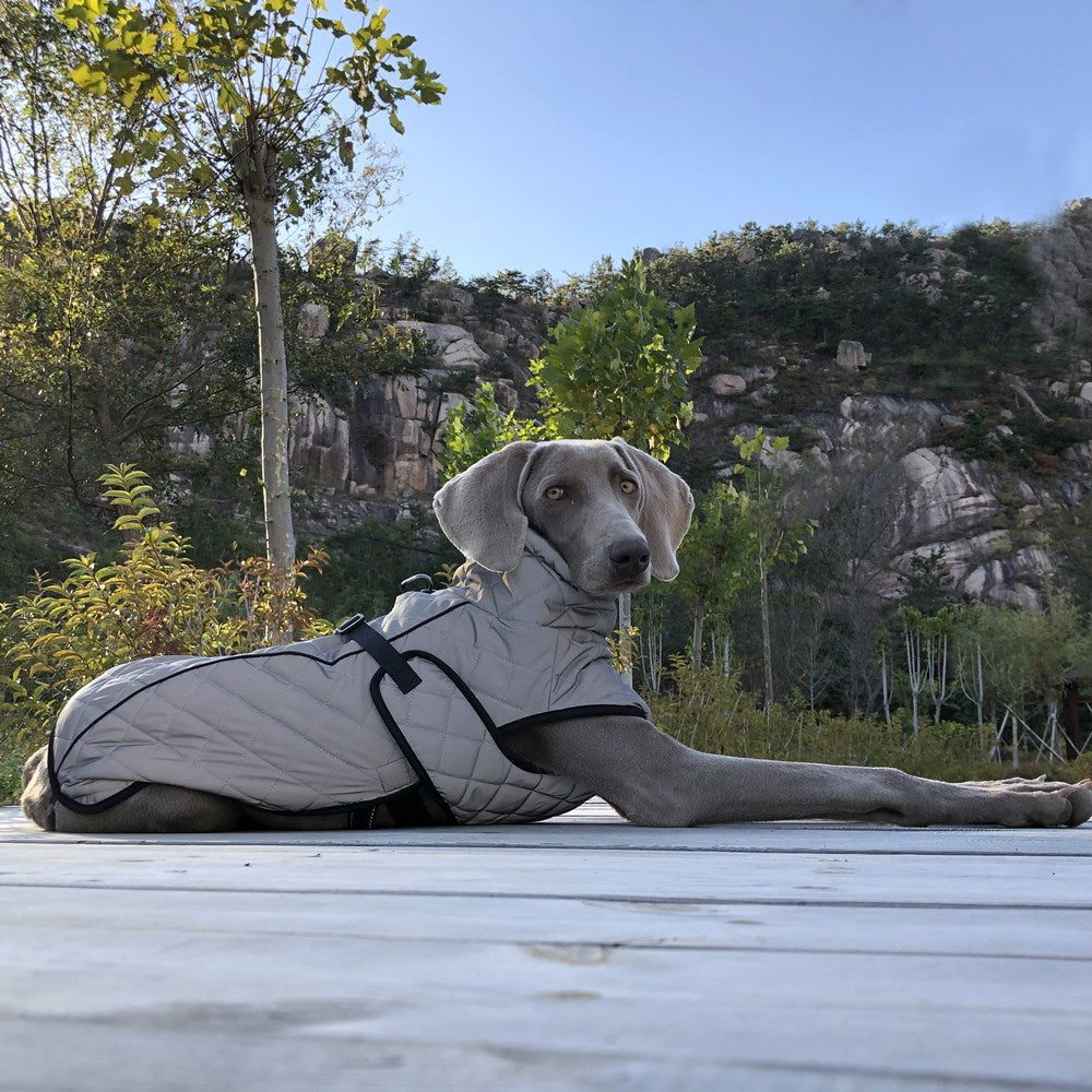 Pet Tactical Jacket Full Body Reflective Outdoor Apparel