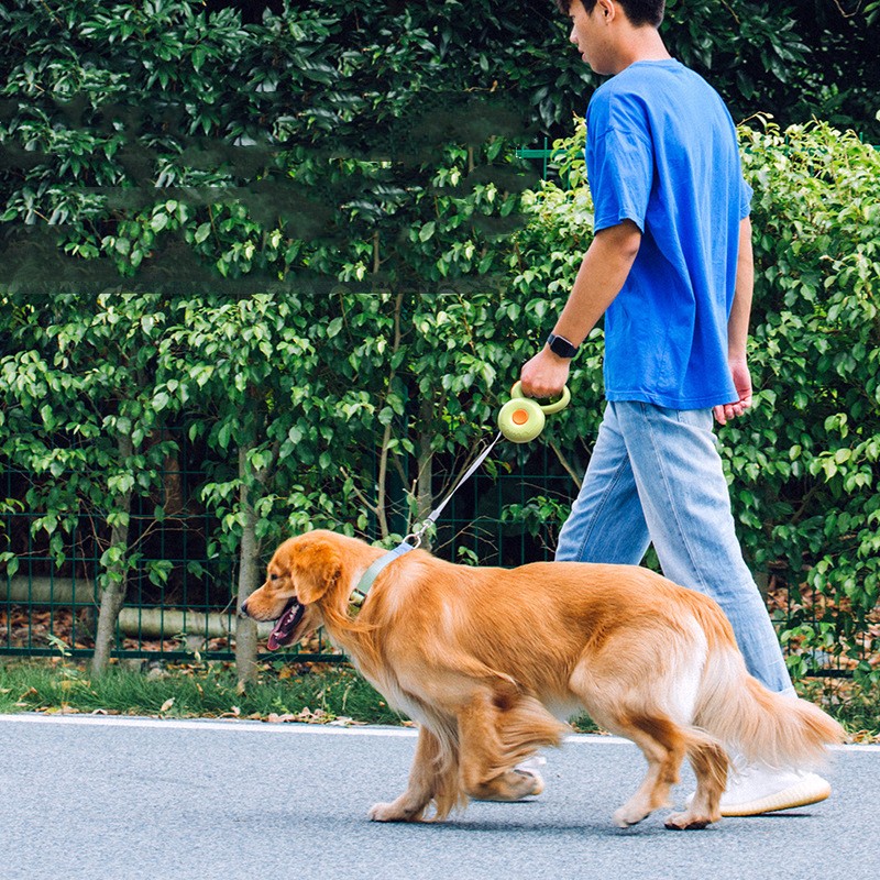 Pet Retractable Reflective Walking Rope Leash