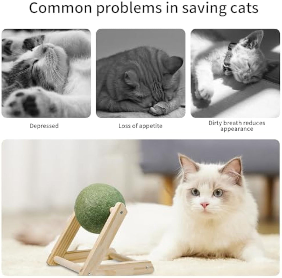 Pet Catnip Ball Toy With Holder Safe Healthy Indoor Toy