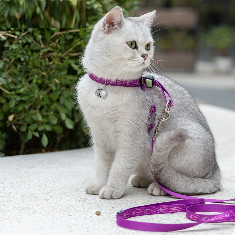 Pet Bell Chest Strap Vest Style Walking Leash Set