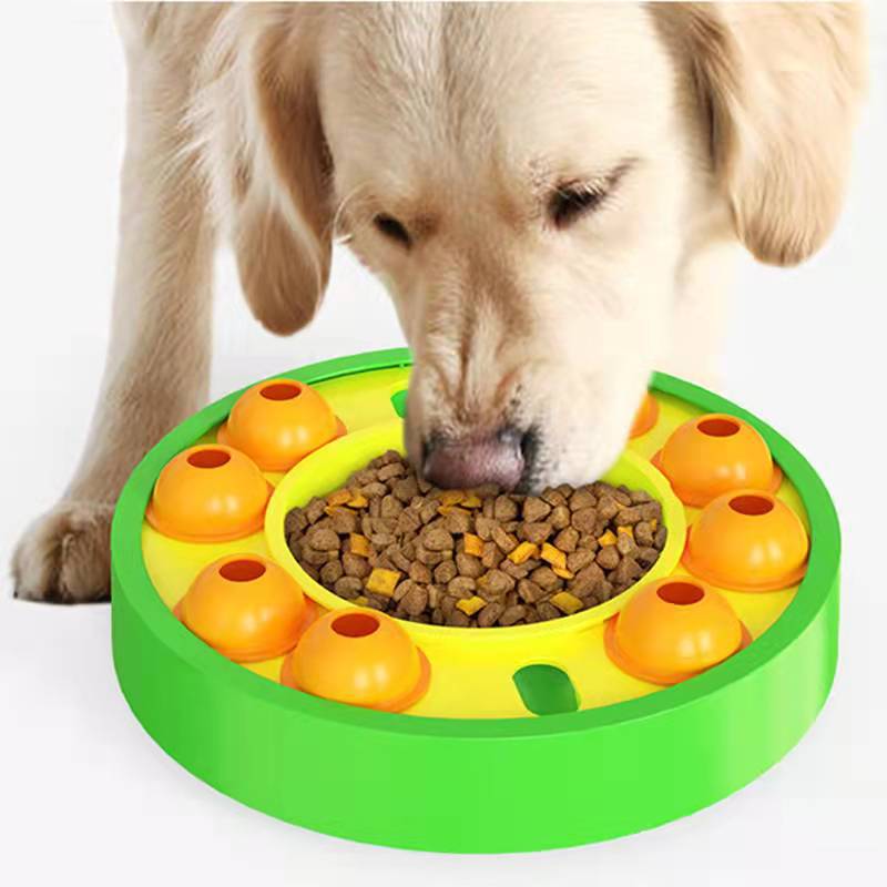 Pet Puzzle Slow Feeder Treat Dispenser IQ Training Toy