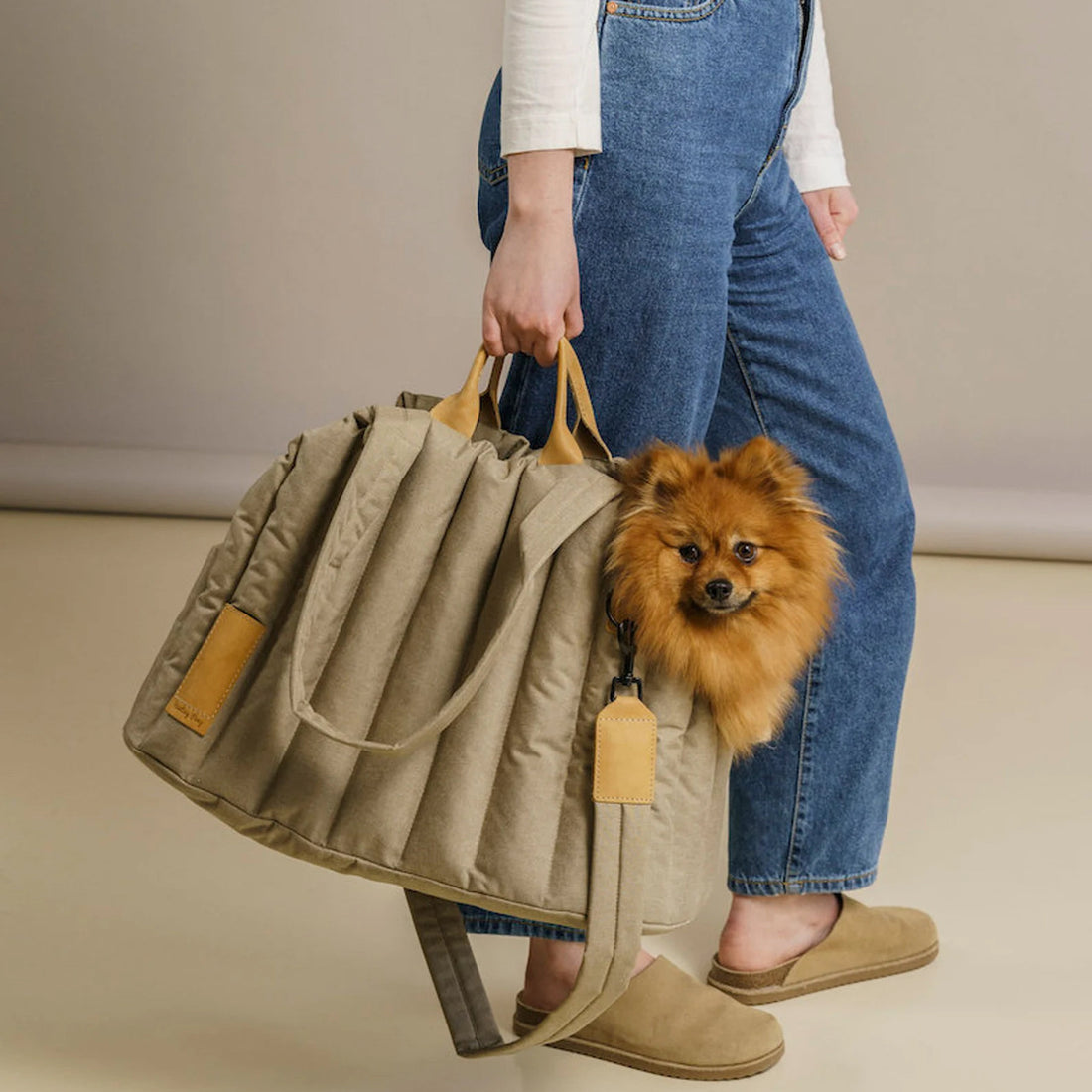 Pet Waterproof Travel Carrier Lightweight Fashion Carry Bag