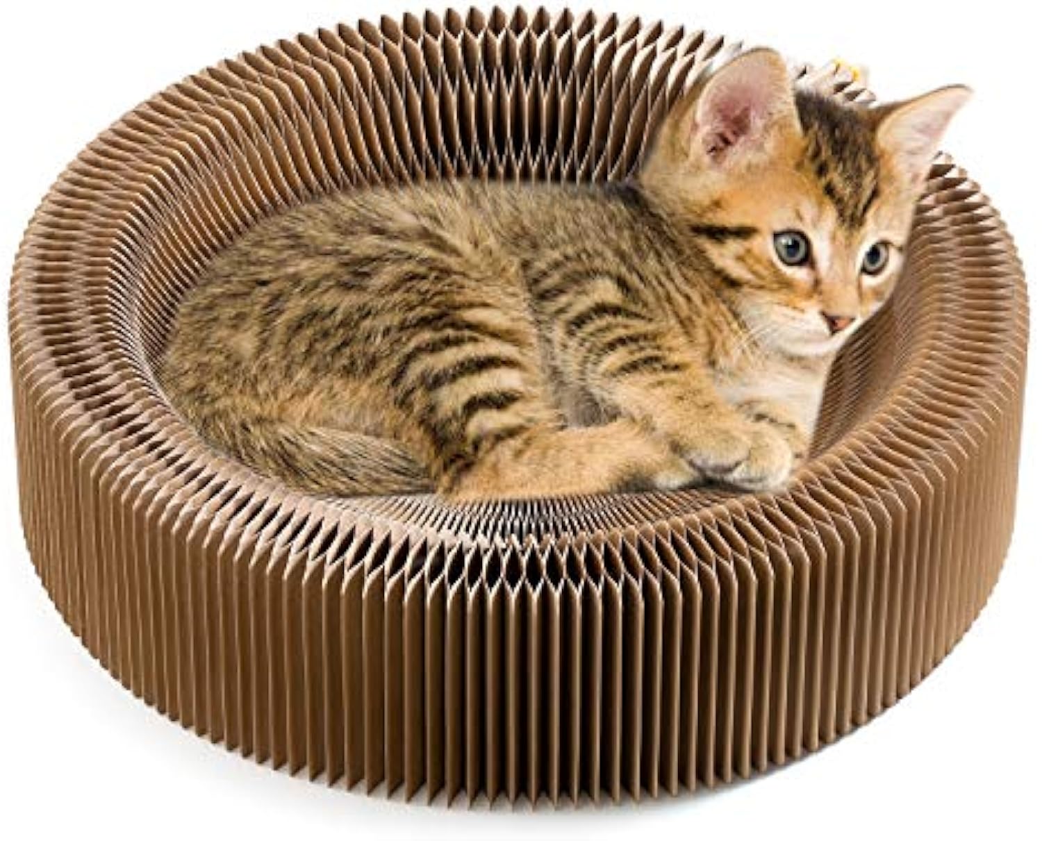 Pet Collapsible Cardboard Scratcher Lounge Round Bed
