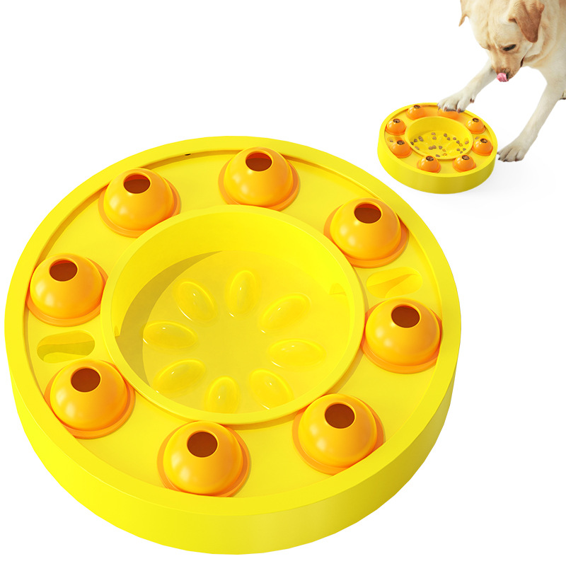 Pet Puzzle Slow Feeder Treat Dispenser IQ Training Toy