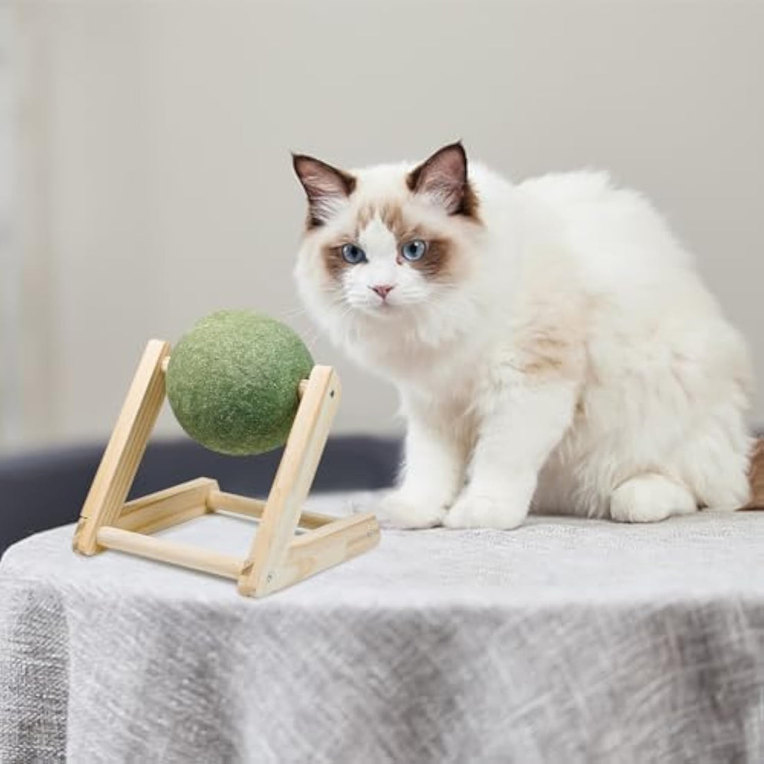 Pet Catnip Ball Toy With Holder Safe Healthy Indoor Toy