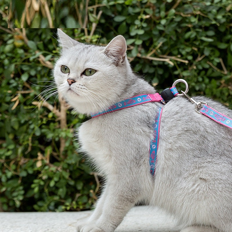 Pet Bell Chest Strap Vest Style Walking Leash Set