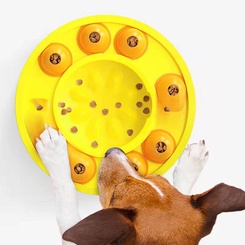 Pet Puzzle Slow Feeder Treat Dispenser IQ Training Toy