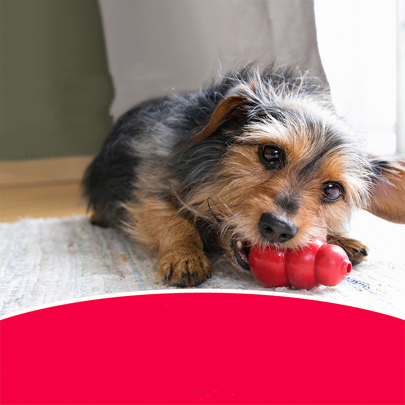 Pet Bite Resistant Rubber Grinding Toy
