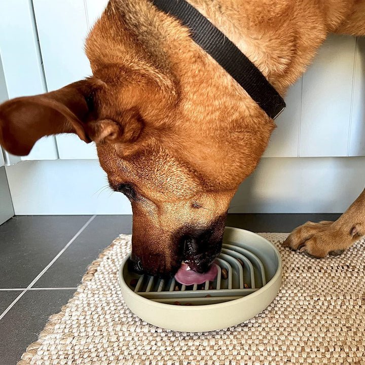 Pet Fashion Simple Slow Feeding Feeding Bowl