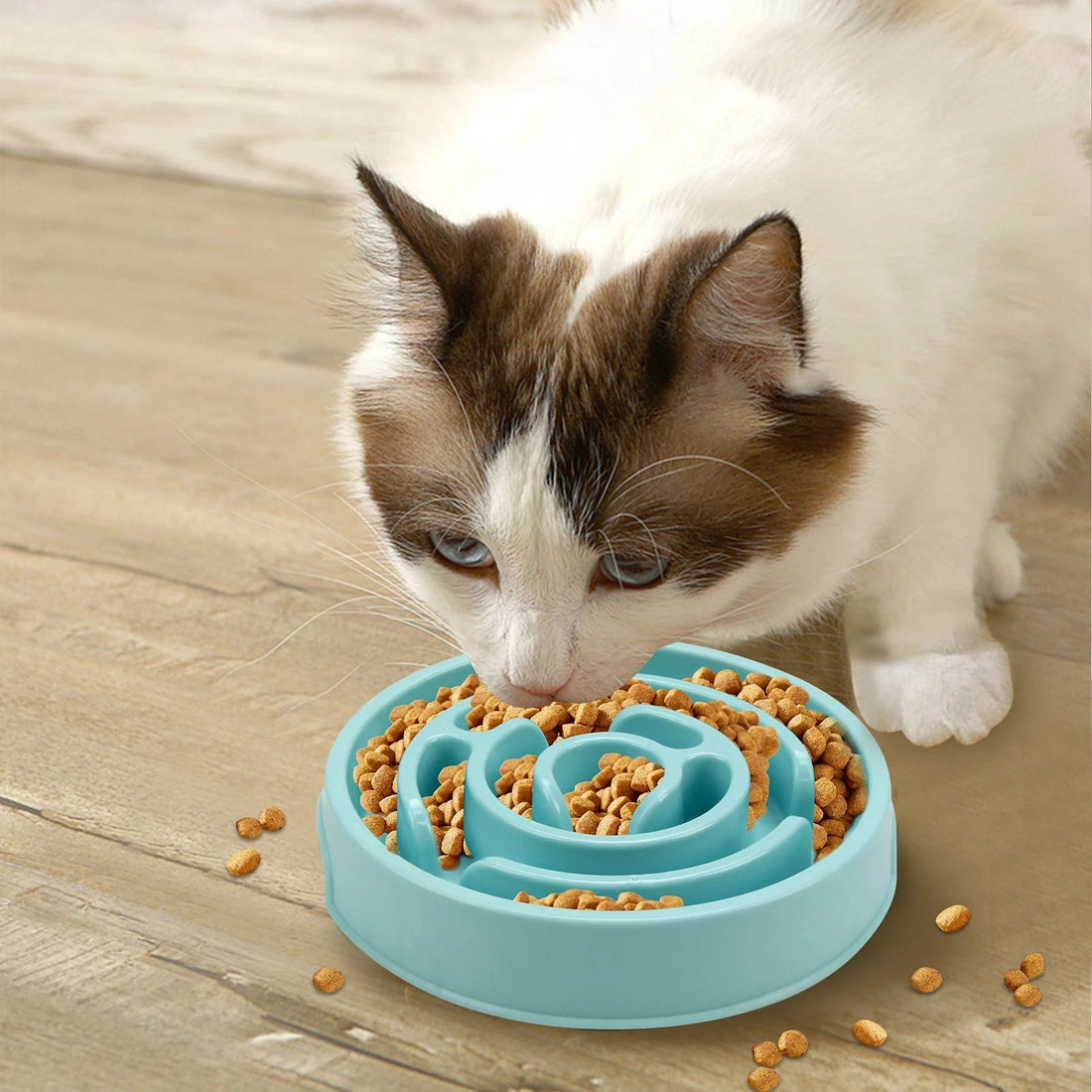 Pet Slow Feeder Anti Gulping Non Slip Feeding Bowl