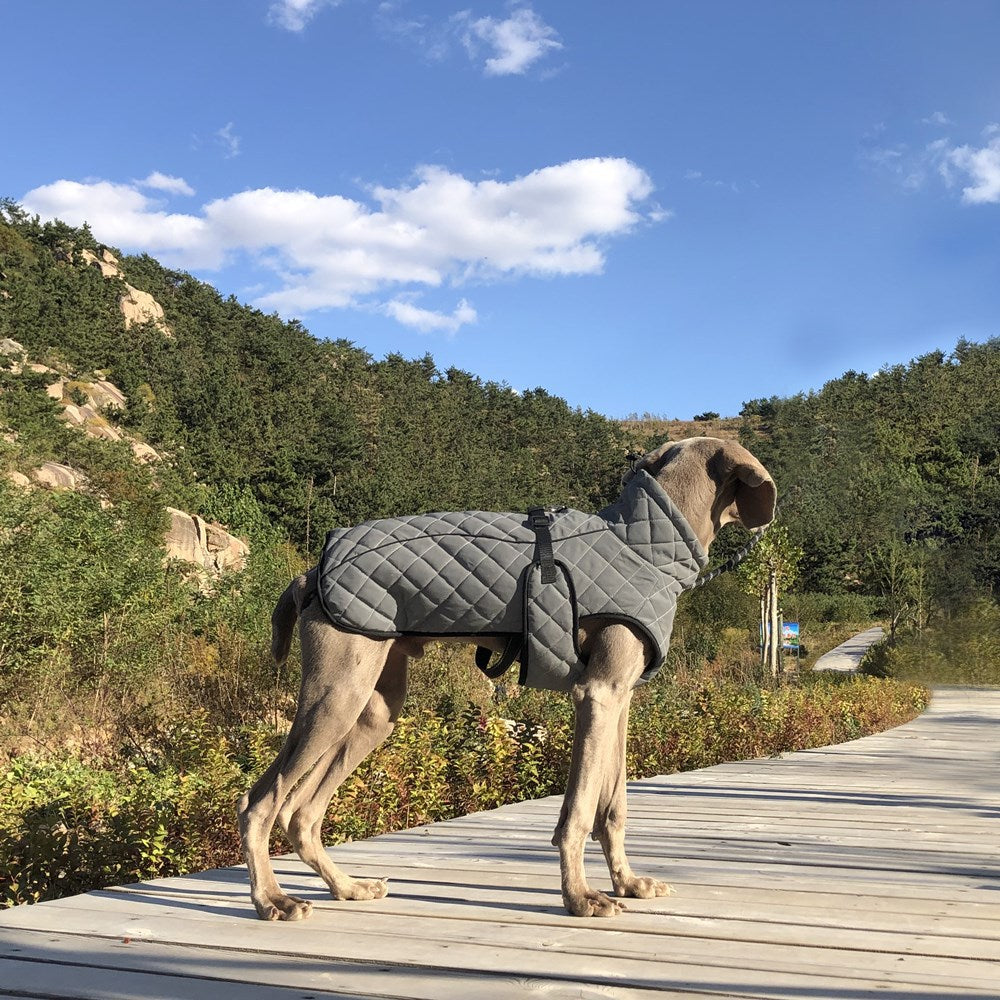 Pet Tactical Jacket Full Body Reflective Outdoor Apparel