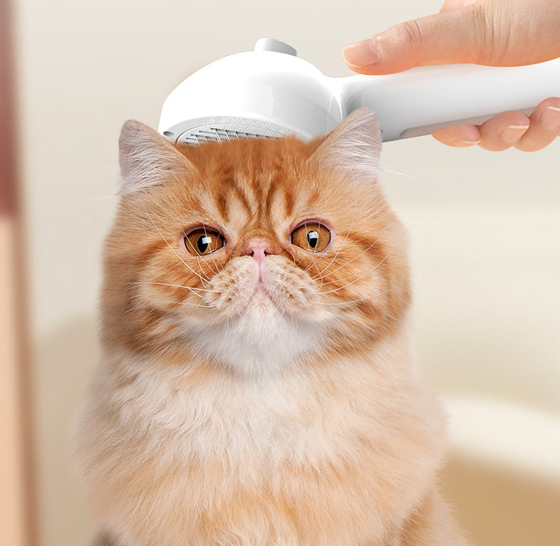 Pet Self Cleaning Grooming Comb With Mist Hair Remover Brush