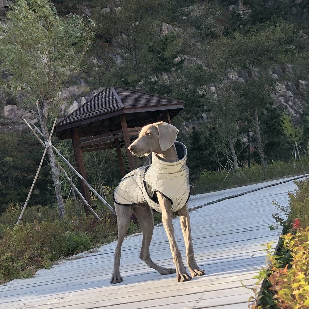 Pet Tactical Jacket Full Body Reflective Outdoor Apparel