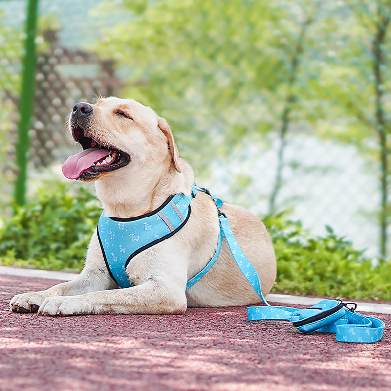 Pet Bow Design Adjustable Walking Harness And Leash