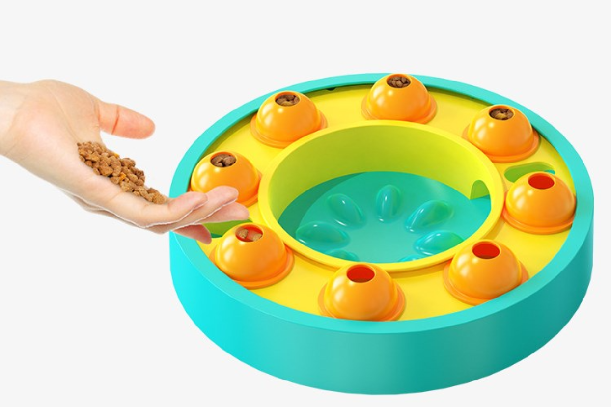 Pet Puzzle Slow Feeder Treat Dispenser IQ Training Toy